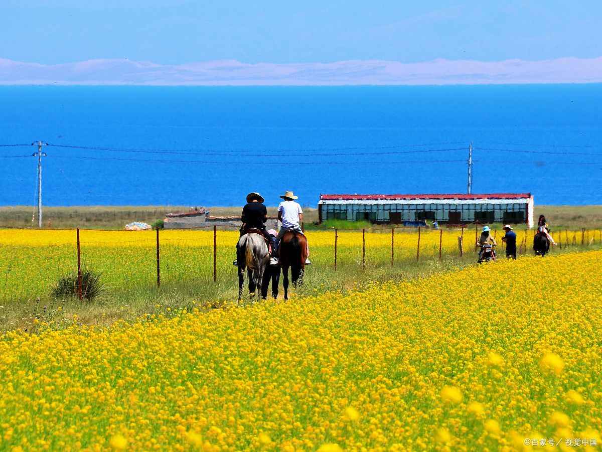 环青海湖一圈多少公里